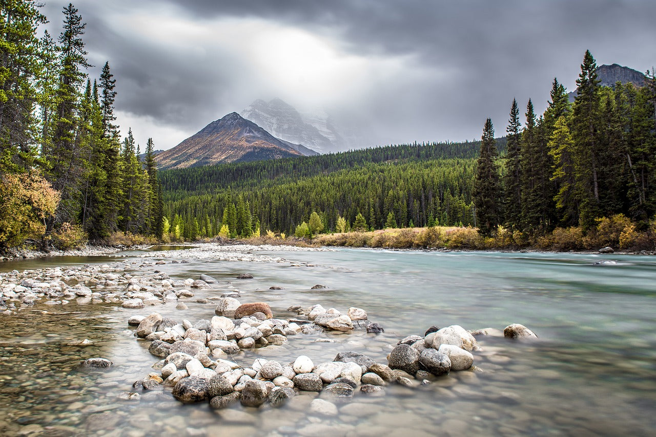 Paisajes y Naturaleza